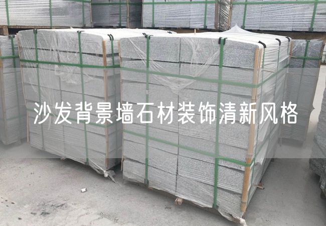 沙發(fā)背景墻石材裝飾清新風(fēng)格