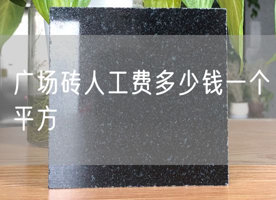 廣場(chǎng)磚人工費(fèi)多少錢(qián)一個(gè)平方