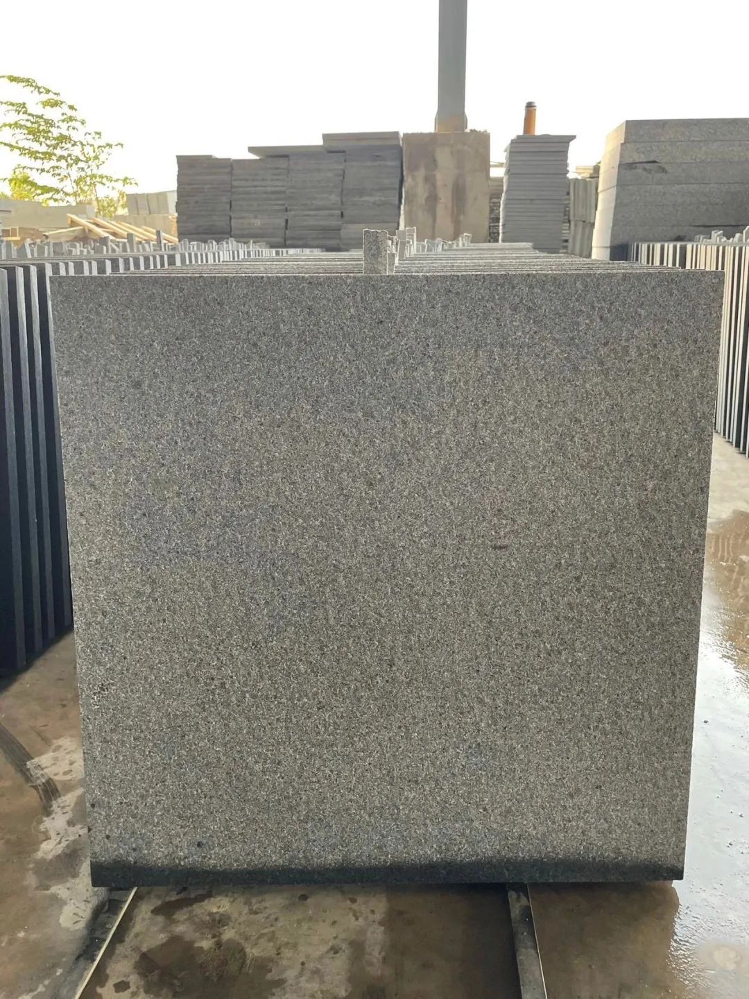 3公分厚300×600石材：芝麻黑、芝麻灰、芝麻白花崗巖種類及價(jià)格(圖10)