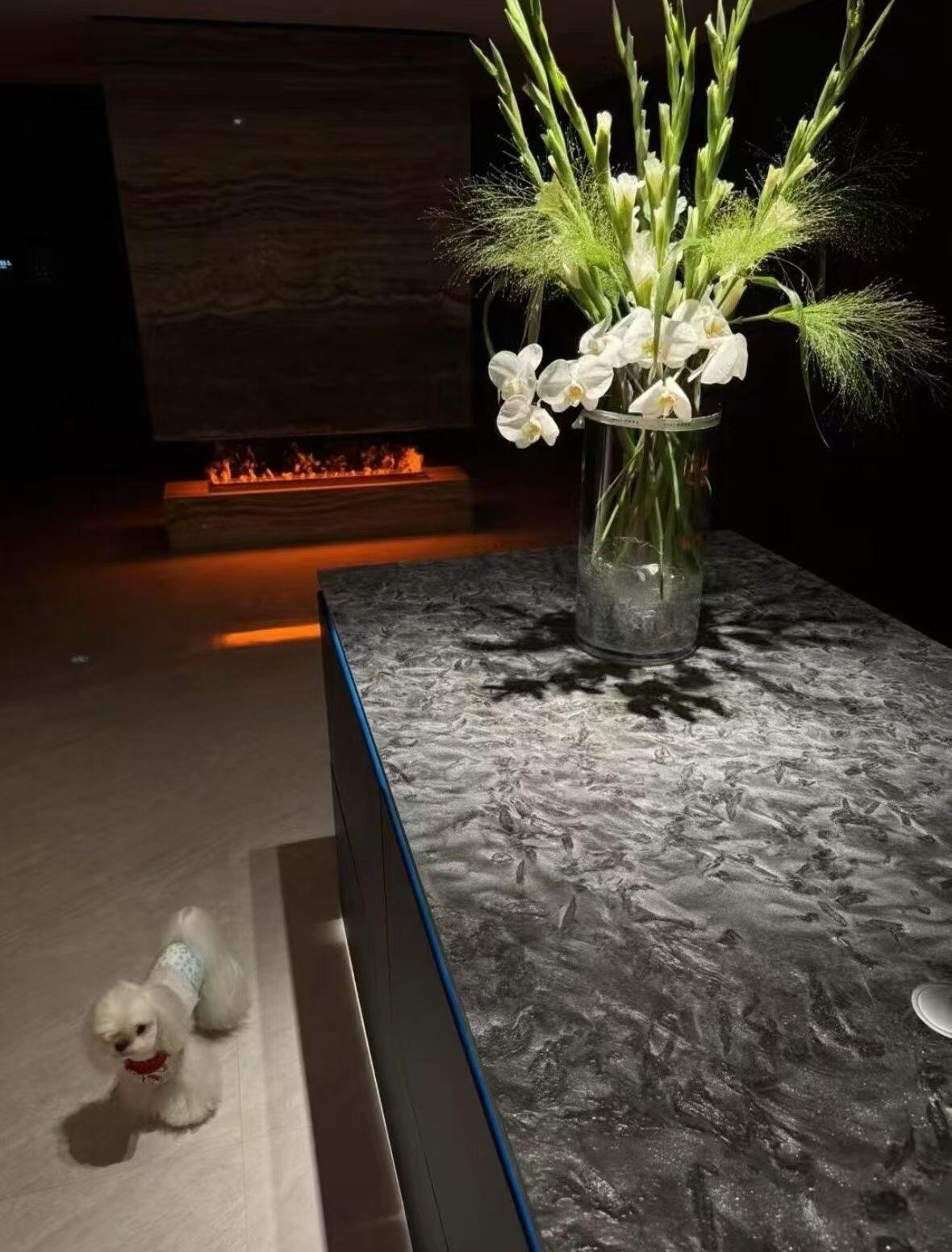 安哥拉黑花崗巖與范思哲黑大理石對比(圖4)