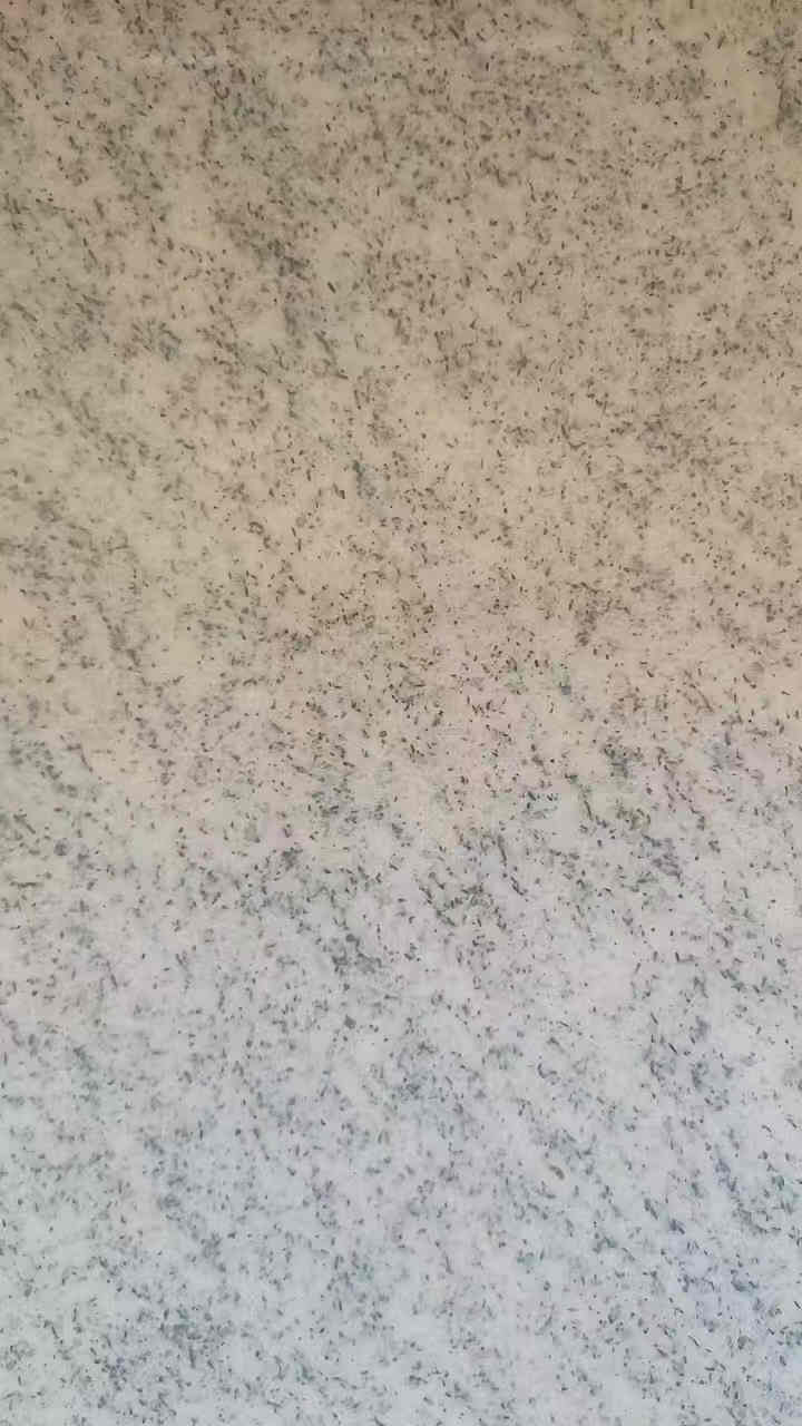 廣西白麻花崗巖(圖1)