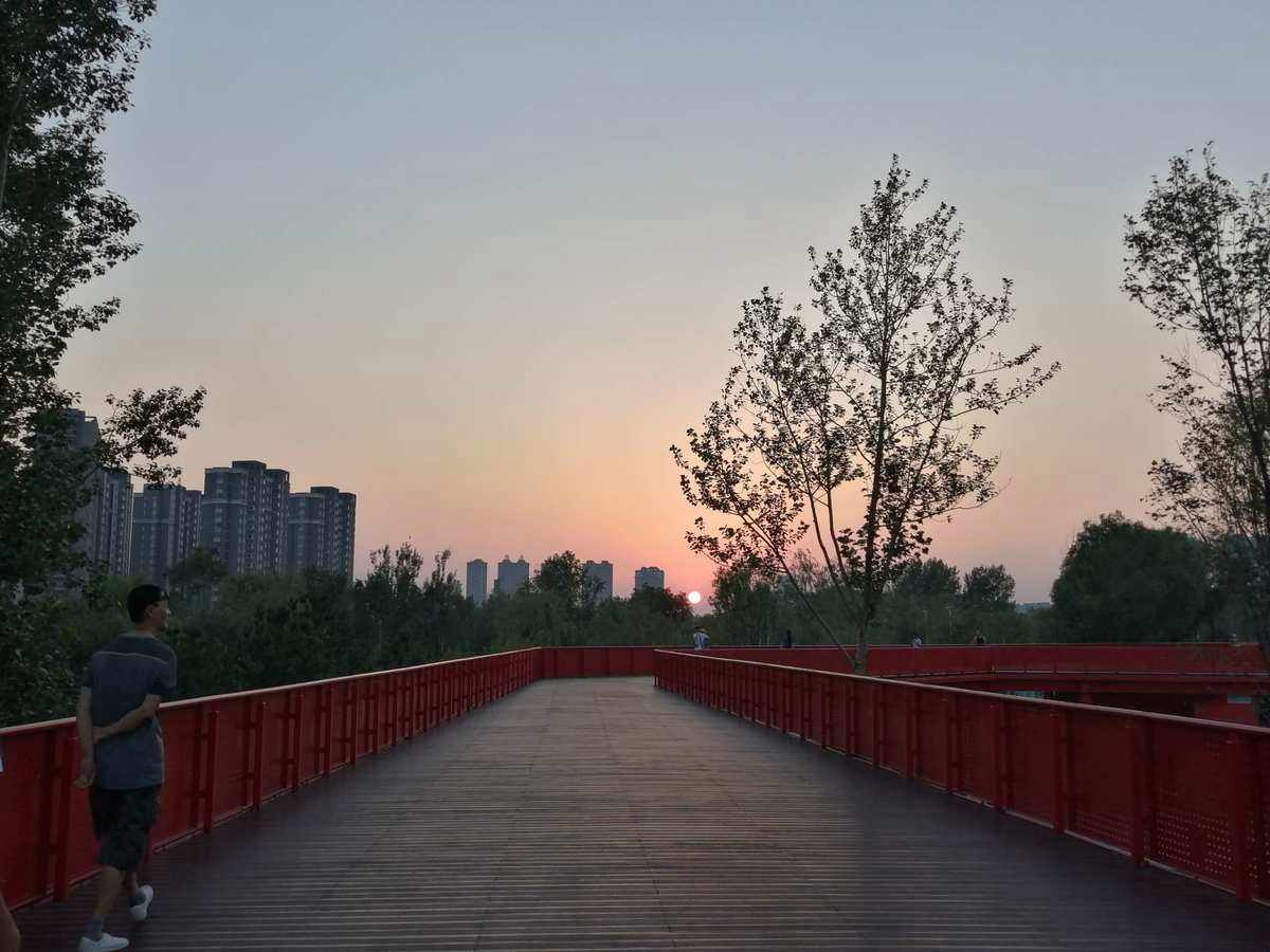 如何自己在家種植蘆薈？一步步教你成為種植高手(圖3)