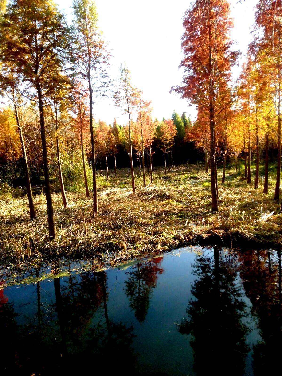 木板面濕貼人造石材施工方法