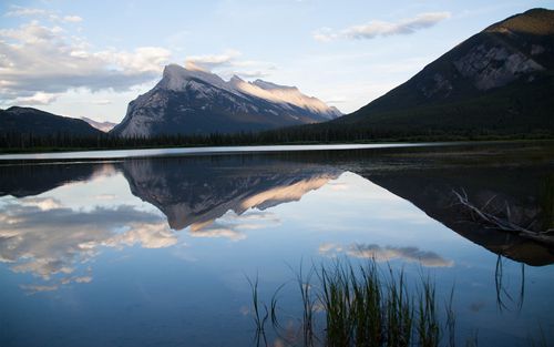 花崗巖多用途石材 人行道雕塑石材-廬山市青玉石材