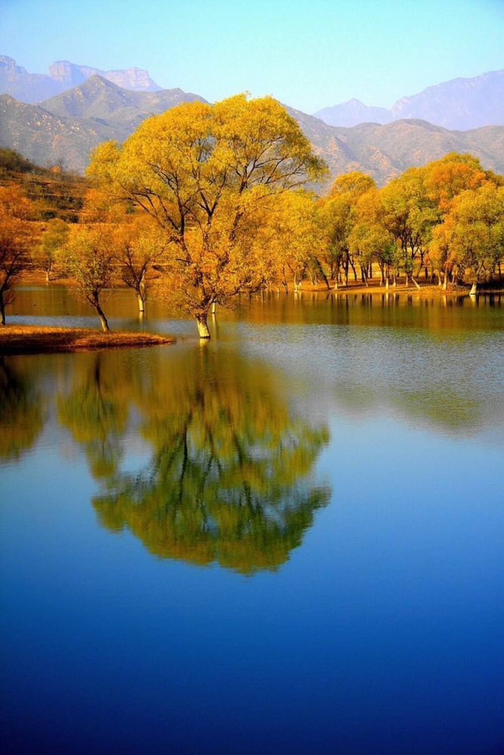 如何自己在家種植蘆薈？一步步教你成為種植高手