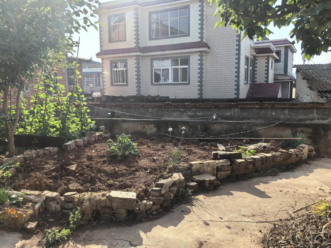 自建房中式小院地鋪石用透水磚還是石材(圖4)