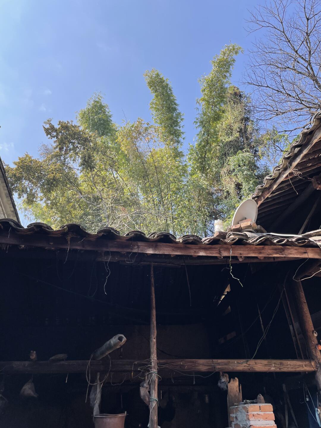 小院地鋪石哪種紋理適合中式風(圖3) 小院地鋪石哪種紋理適合中式風(圖3)