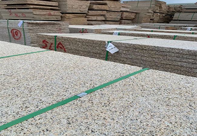 黃金麻荔枝面地面圖片(圖1)