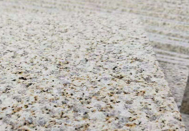 黃金麻產(chǎn)地山東哪里(圖1)