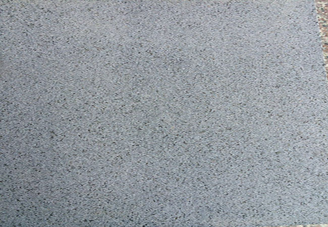 芝麻黑 芝麻灰價格多少