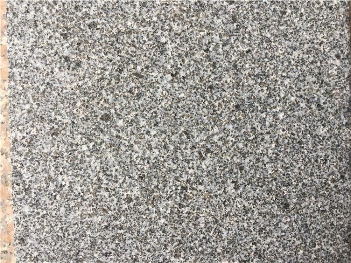 焦作芝麻黑價(jià)格行情多少(圖5)