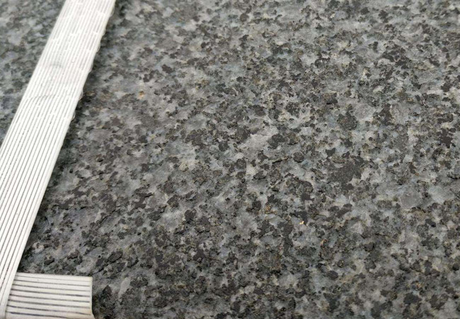 焦作芝麻黑價格行情多少