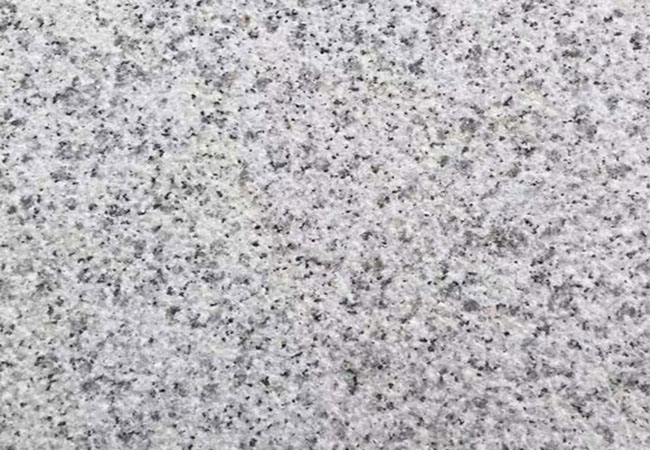 河南芝麻白荔枝面多少錢(圖3)