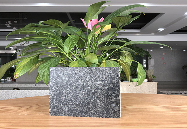 芝麻黑500mm價格多少