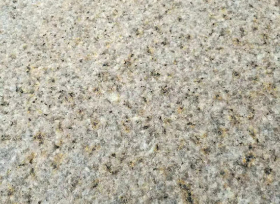 黃金麻荔枝面開采注意事項