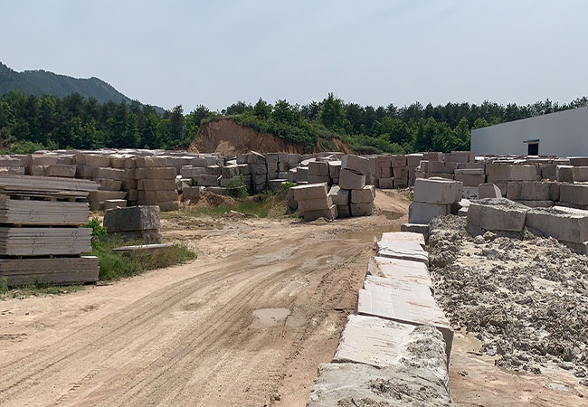 黃金麻價格多少錢(圖2)