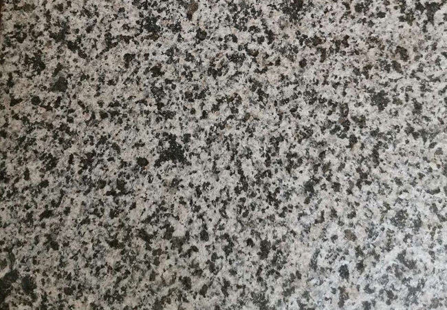 福建的芝麻黑的價(jià)格是多少(圖5)