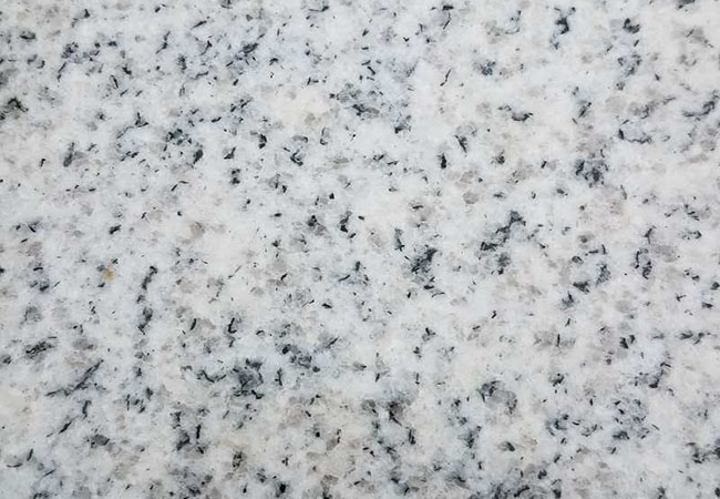 芝麻白報價芝麻白價格