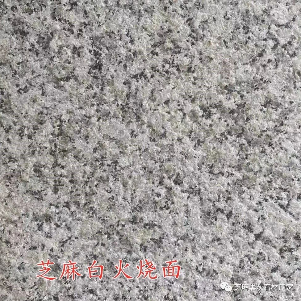 火燒面芝麻白多少錢(qián)