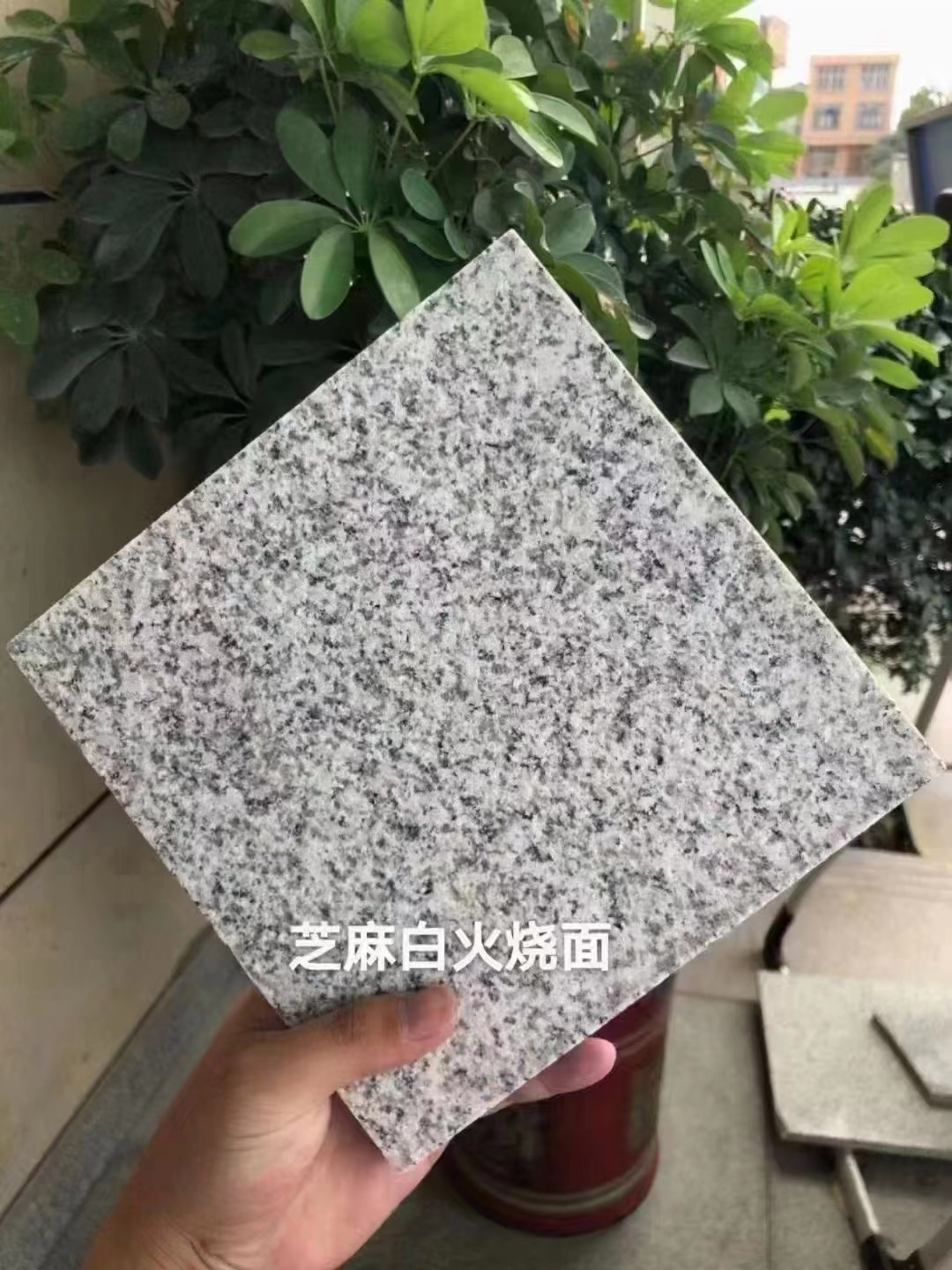 白色大理石花崗巖產(chǎn)地及價格(圖3)