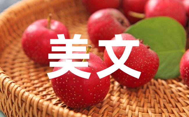 探究周寧美文線下寫作：如何讓手寫字更加優(yōu)美？